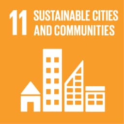 Goal 11 SDG badge