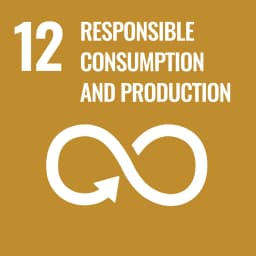 Goal 12 SDG badge
