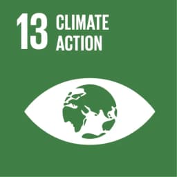 Goal 13 SDG badge