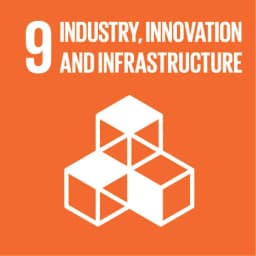 Goal 9 SDG badge